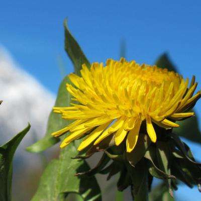 安博体育下载截图