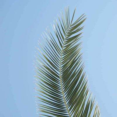 狗万官网下载手机版